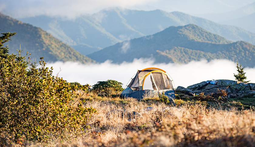 Tent staat in wildernis