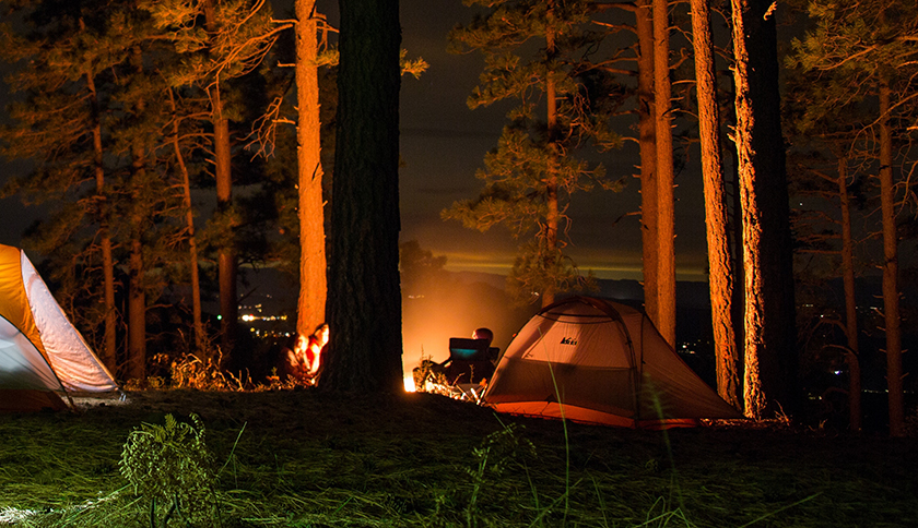 Tenten staan tussen de bomen met kampvuur 