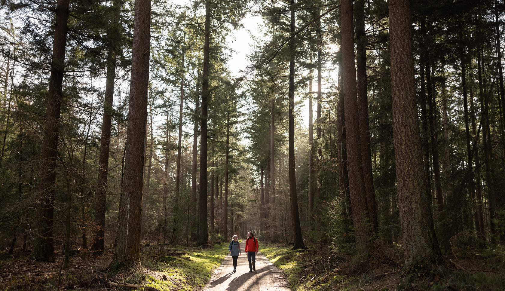 man en vrouw wandelen door het bos