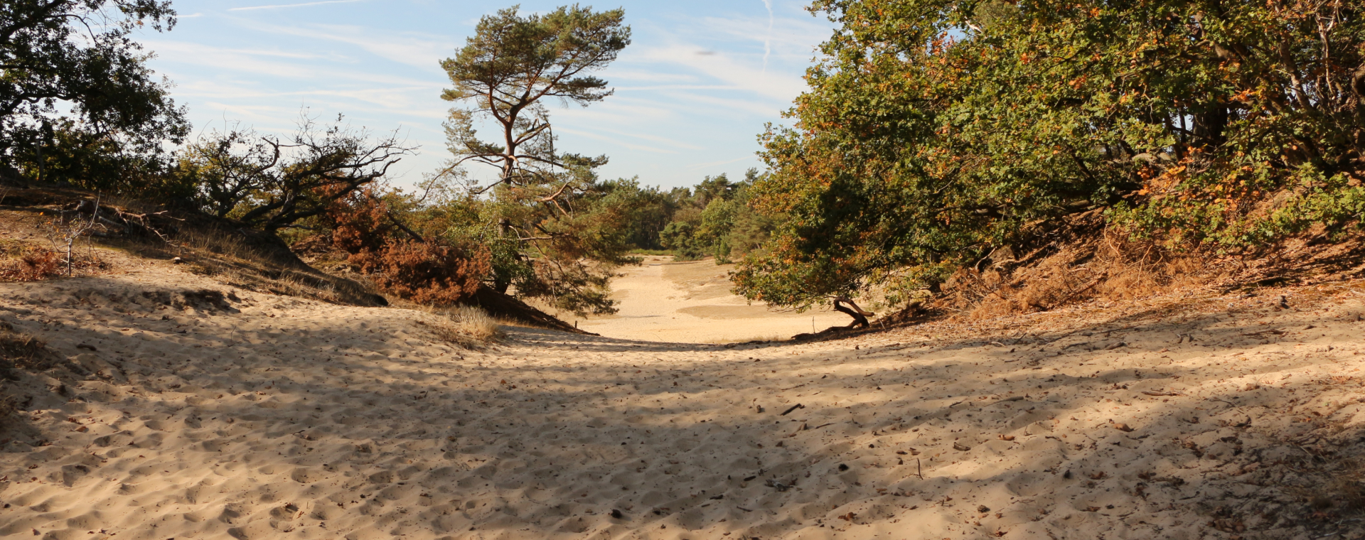 Ga wandelen in Brabant en ontdek de 6 mooiste wandelroutes