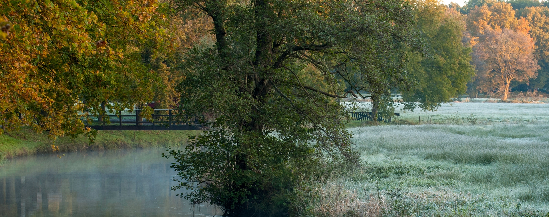 Zin in een mooie herfstwandeling? 7 routes vol herfstgeuren en -kleuren