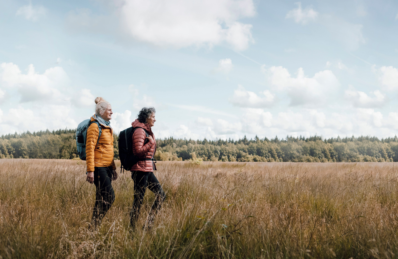 twee wandelaars lopen door een veld