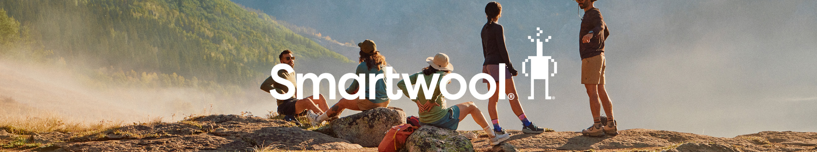 smartwool logo header